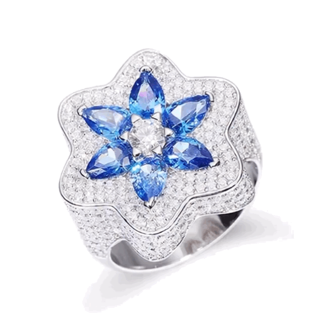 Bague argent 925 millièmes