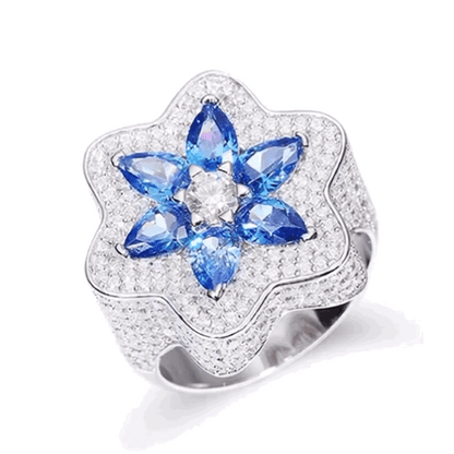 Bague argent 925 millièmes